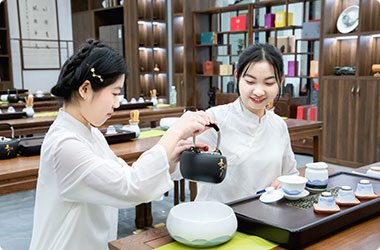 茶艺师开云手机登录入口